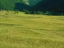 Les prés de Saint-Ours en été.