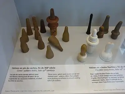 Tétines en pis de vache et ivoire fin XIXe&nbsp;siècle, coll. Léon Dufour, musée des Pêcheries, Fécamp.
