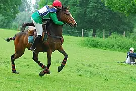 Élimination lors d'une chute.