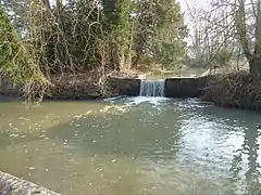 Confluent du ru de Saint-Marc et de la Bièvre.