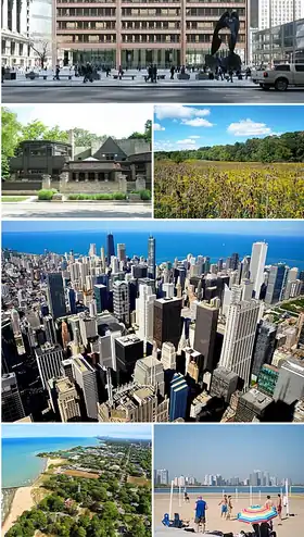 Comté de Cook (Illinois)