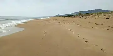 Cordon dunaire érodé au nord de Kakóvatos