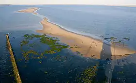 Vue d'une partie du plateau de Cordouan en direction du nord-est depuis le phare avec le récif rocheux et les bancs de sable ; la côte charentaise est visible dans le lointain.