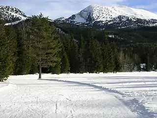 Les rochers de la Balme et la tête des Chaudières depuis le champ de la Bataille à Corrençon-en-Vercors.