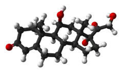 Image illustrative de l’article Cortisol