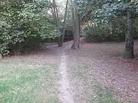 Passerelle en arrière plan