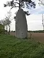 Le menhir de la Pierre-Longue.