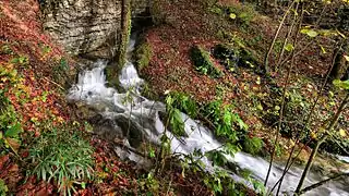 La source de la Goulue à Cussey-sur-Lison.