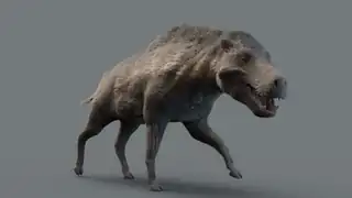 Reconstitution de Daeodon shoshonensis (Entelodontidae)