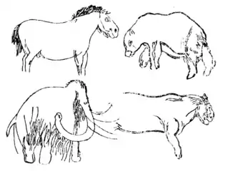 Cheval, ours des cavernes, mammouth, lion des cavernes.