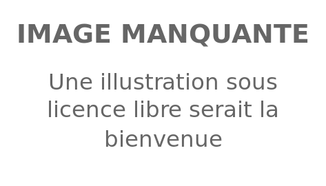 Image illustrative de l’article Demo Rinpoché