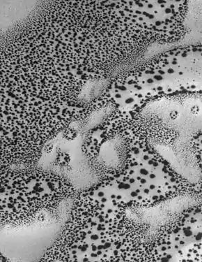 Vue de la MOC de MGS par 66,8°&nbsp;S et 344,3°&nbsp;E montrant un champ de points noirs sur une surface gelée de CO2.