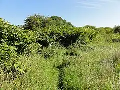 Le puits dans son environnement.