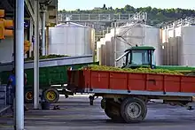 la photo couleur montre des remorques de raisin blanc reculant vers des trémies de réecption de vendange. En arrière-plan, des cuves inox barrent l'horizon.