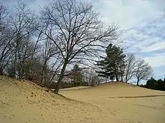 Le désert du Maine.