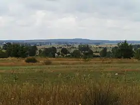 Skotniki (Piotrków)