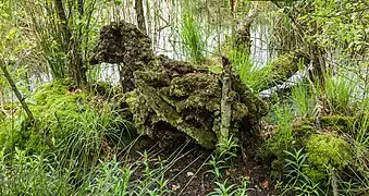 À Diakonievene, un espace naturel dans la Frise.