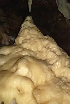 «&nbsp;Glacier&nbsp;».