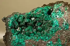 Dioptase - Renéville, République du Congo (13&nbsp;×&nbsp;12&nbsp;cm)