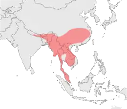 Carte montrant la distribution de la Panthère nébuleuse dans les années 1990 sous forme d'une grande zone continue couvrant la partie continentale de l'Asie du sud-est. Cette zone s'étendent à l'ouest jusqu'au sud-est du Népal, à l'est jusque près de Shanghai et au sud jusqu'à englober la péninsule malaise.