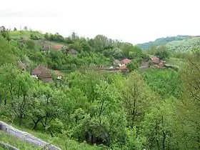 Dobroselica (Rekovac)