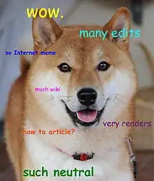 Doge, Mème original