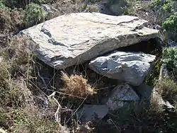 Dolmen du Coll de les Portes