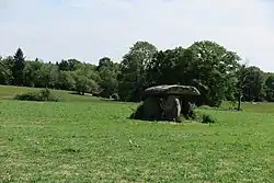 Image illustrative de l’article Pierre Levée (La Roche-l'Abeille)