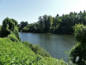 La Dordogne à Creysse, avec Cours-de-Pile en rive opposée.