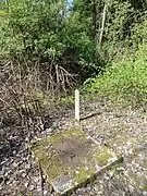 Le puits dans son environnement.