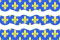 Drapeau : Seine-et-Marne