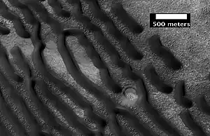 Champ de dunes vu par l'instrument HiRISE de MRO par 42,7° S et 38,0° E.