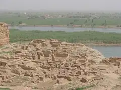 Vue panoramique du site archéologique de Doura Europos, l'un des principaux lieux de prospections d'Adnan Bounni.