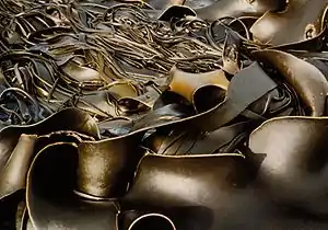 Laminaires (algues brunes)