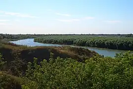 L'Irtych dans l'oblast.