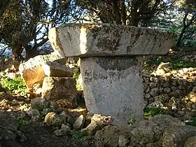 Image illustrative de l’article Torrellafuda