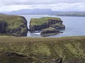 Image illustrative de l’article Eilean nan Ròn