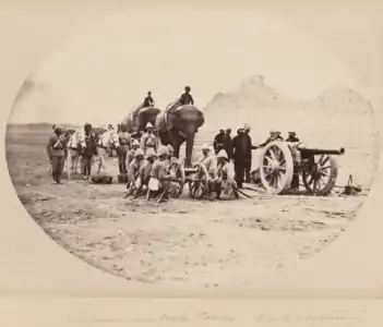 Batterie d'éléphants et de mules, deuxième guerre anglo-afghane (1878-1879).