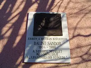 Le lieu de naissance de Sándor Bálint était le 72 de la rue Pálfy. La plaque commémorative de la maison a été dévoilée en 1984 par István Sőtér-langue=hu&nbsp;(en), universitaire et historien de la littérature. La plaque a été réalisée par Gyöngyi Szathmáry. Mais le 4 août 2004, à l'occasion du 100e anniversaire de la naissance de Sándor Bálint, la démolition de sa maison natale a commencé, et une maison a été construite sur le site.