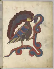 Enluminure de l'oiseau du beatus de Saint-Sever
