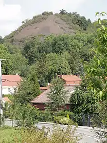 Le terril no&nbsp;244.