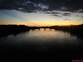 Pitangueiras (São Paulo)