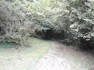 Approche de la grotte