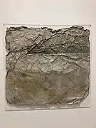 Réna Papaspýrou, Épisodes dans la matière, 1980.