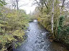 L'Odet entre Stang Luzigou et Coat Piriou (en Ergué-Gabéric)