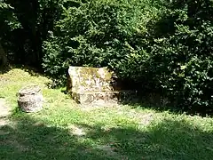 Le banc des vieillards, entrant aujourd'hui dans le Théâtre de verdure.
