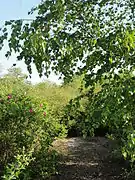 Le puits no&nbsp;1 dans son environnement.