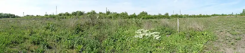 Le puits no&nbsp;2 dans son environnement.