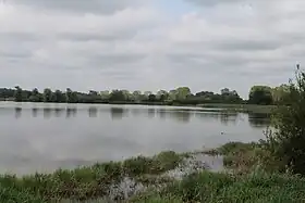 Image illustrative de l’article Étang du Grand-Turlet
