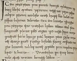 Image illustrative de l’article Livre d'Exeter